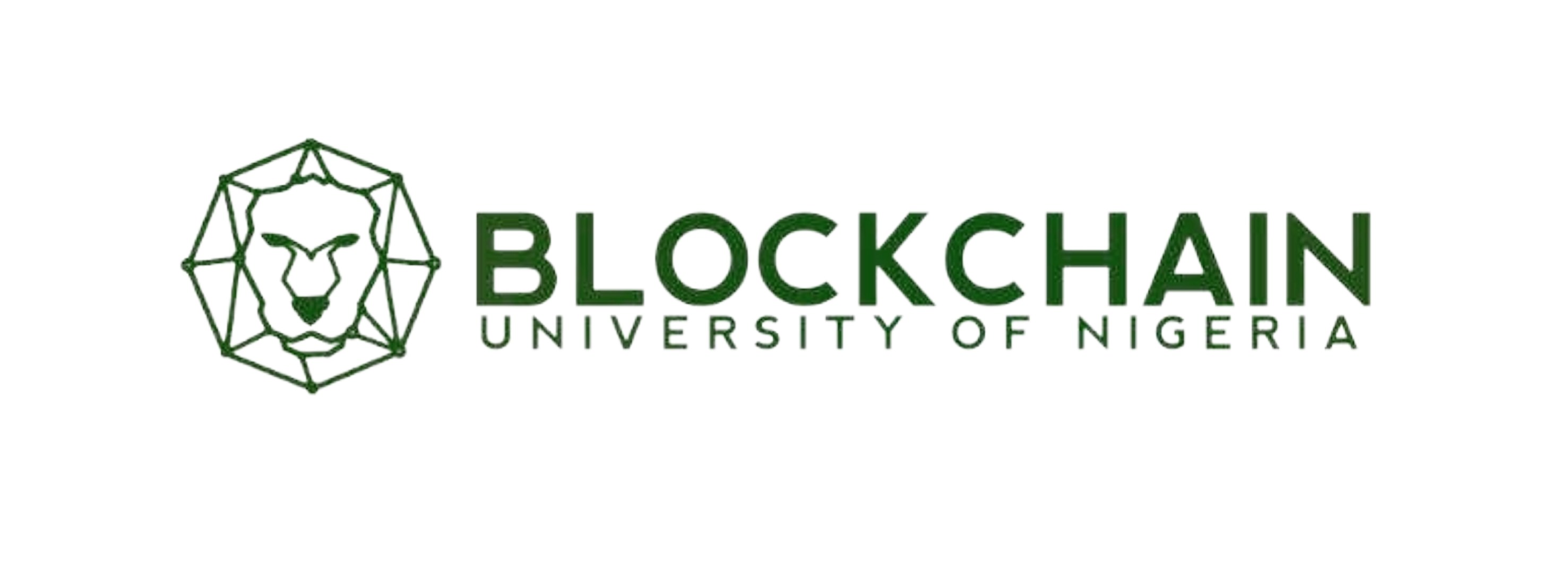 blockchainunnlogo